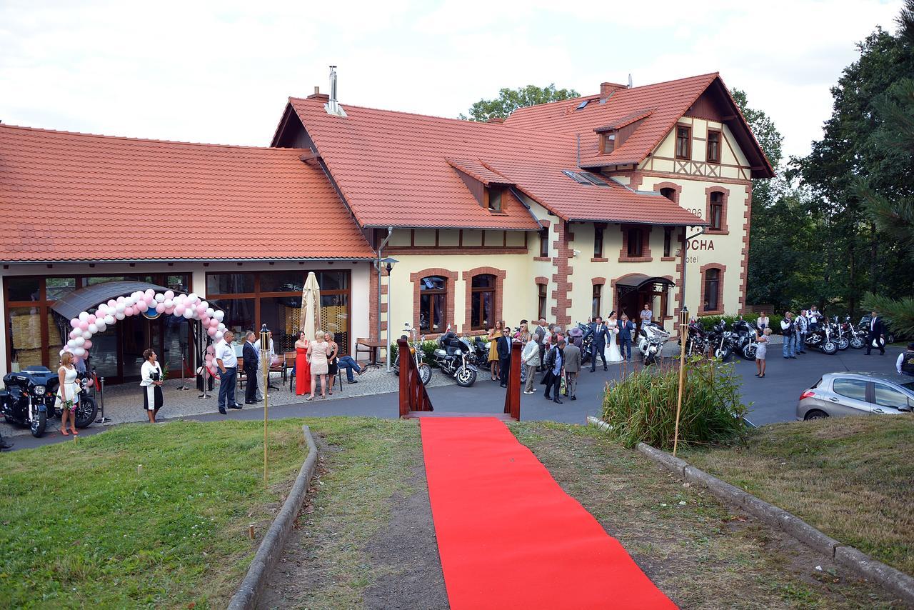 Czocha Palace&Czocha Camping - Or Czocha Löschney Exterior foto